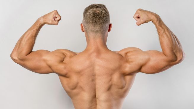 Oral Steroids: How to Buy Safely and Effectively